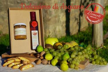 Allegro Agriturismo Argiano