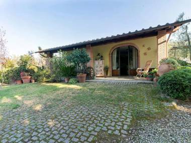 Detached house in the hills of Arezzo surrounded by olive trees