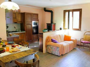 Detached house in the hills of Arezzo surrounded by olive trees