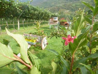 Agritur Maso Fontane