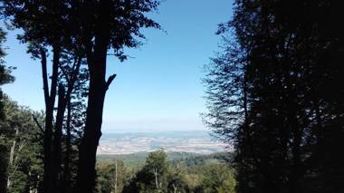 Thalassa Locanda B&B e appartamento