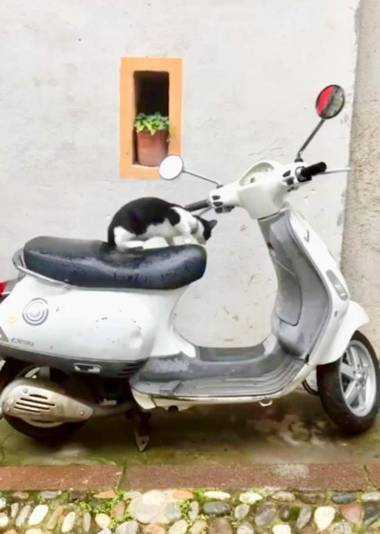 Casa Isolabona Liguria Italy Sleeps 5