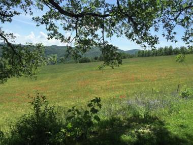 Farmhouse in Apecchio with Swimming PoolTerrace GardenBBQ
