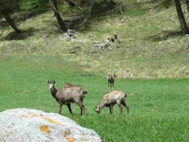 Modern Apartment in Antey Saint Andr with Terrace