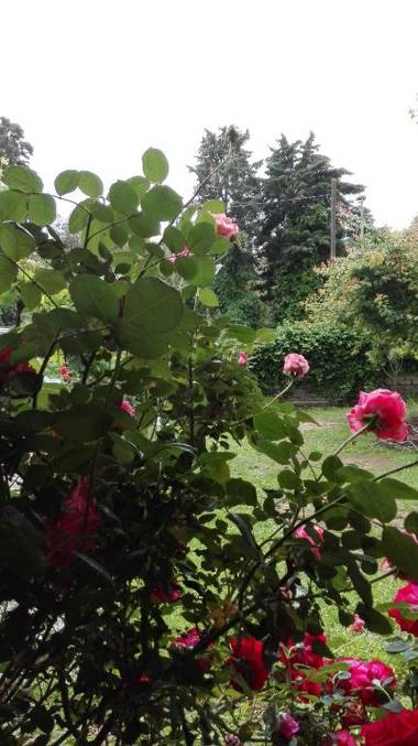 The lake the sea the history