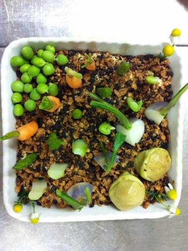 Agriturismo Accipicchia