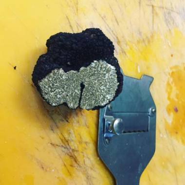 Agriturismo Accipicchia