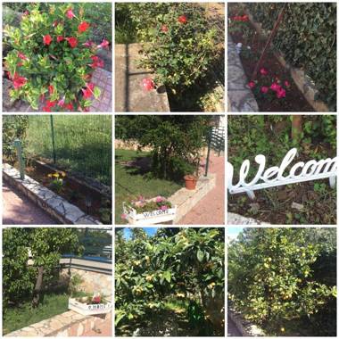 I mori di Sicilia mare a 10 minuti fiori frutta e piscina