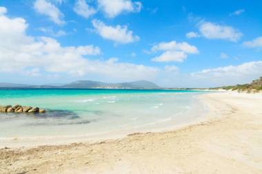 Butterfly Accommodation