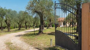 Welcomely - B&B Olivar
