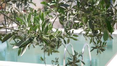 Hotel Colle Del Sole