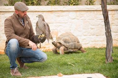 Trulli Antichi Mestieri - Widespread Trulli in the historic center