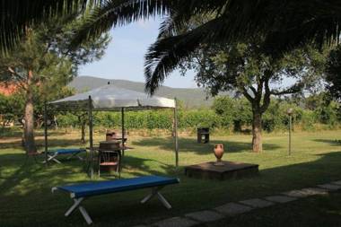 Fattoria il Duchesco