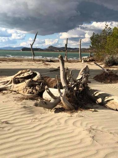 Fattoria il Duchesco
