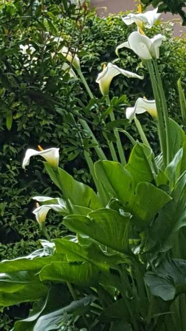 Agriturismo Fioredizucca