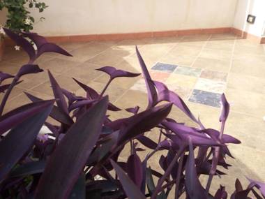 B&B Al Centro Storico