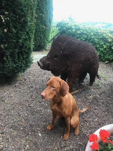 Villa Giarvino Guesthouse