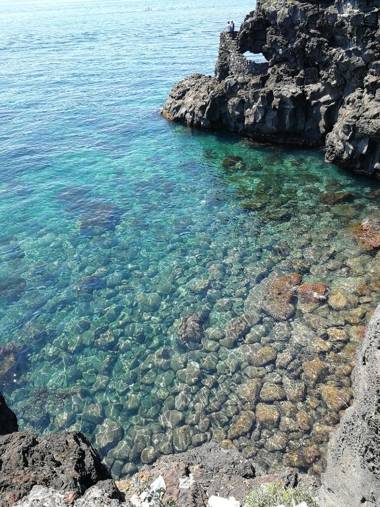 Il Giardino Dei Limoni