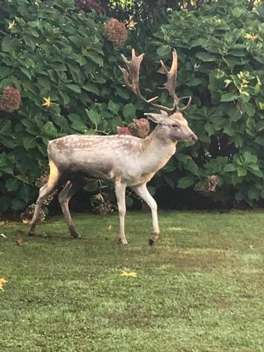 Agriturismo I Leprotti