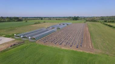 Agriturismo La Morosina