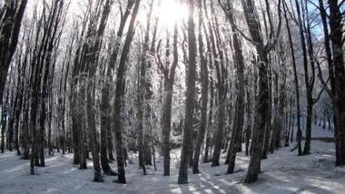 Albergo Generale Cantore - Monte Amiata
