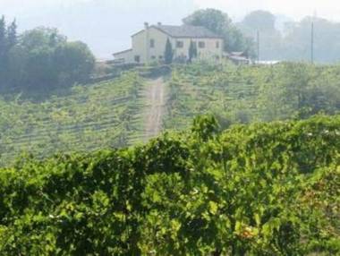 Inviting Apartment in Gatteo with Private Garden