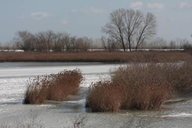 Agriturismo Ca' Bonelli