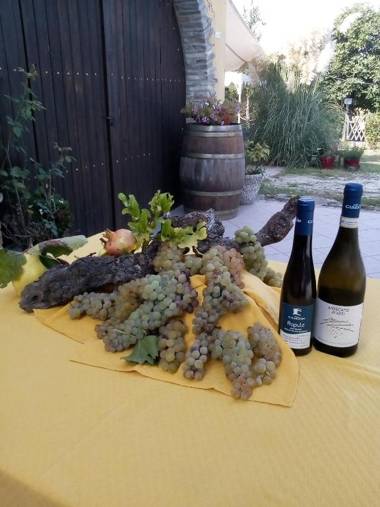 Agriturismo San Martino