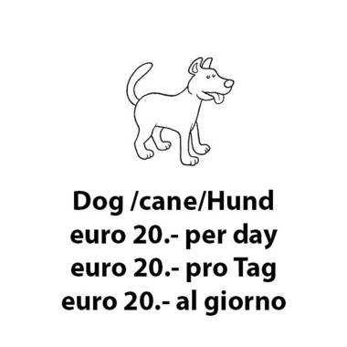 Madonna Dell'Aiuto True View