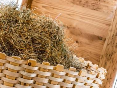 The Laurin Small & Charming