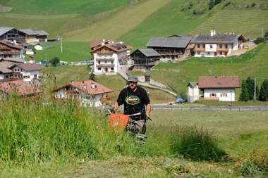Agriturismo Maso Larciunei