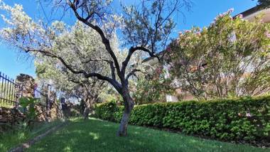 Welcomely - La Casa Di Rita