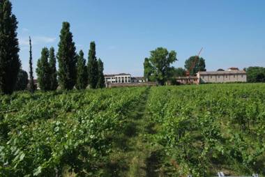Agriturismo Dominio di Bagnoli