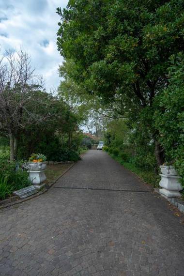 El Rincon del Artista