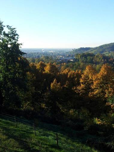 Agriturismo Cascina Ronchi