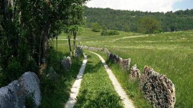 La Tana dell'Orso Lavarone