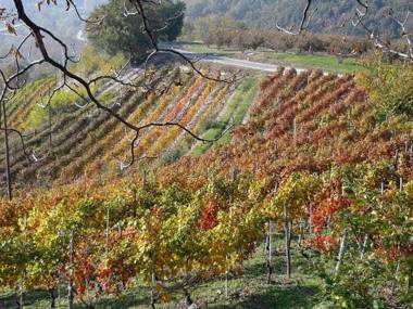 Cascina Sant'Eufemia