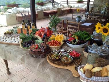 Agriturismo Podere Conti