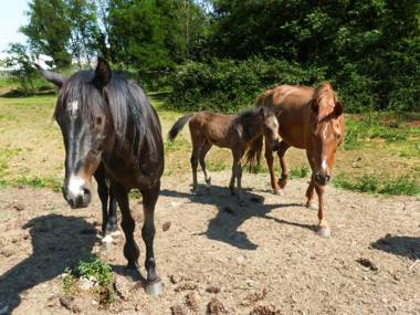 Agriturismo Dolce Luna