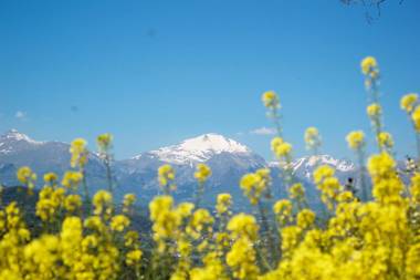 Saecula Natural Village Experience