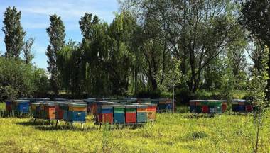 Agriturismo San Francesco