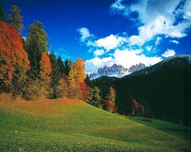 Art Apartment Schatzer