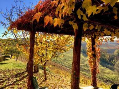 Tenuta Montanello B&B