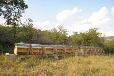 Agriturismo Sol De Montalto