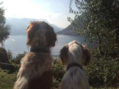 Castagna Holiday Home