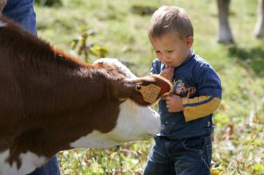 Agriturismo Stella Orobica