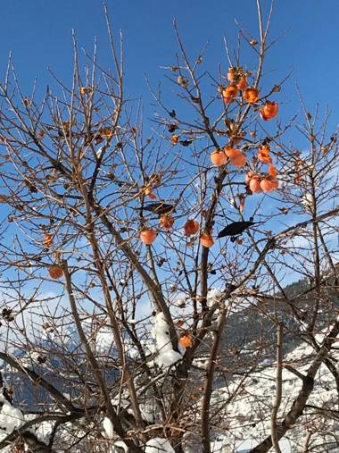 Agriturismo Verger Plein Soleil