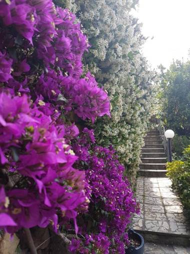 LE TERRE DEL DRAGO Apartment