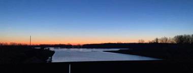 Lucciole Nella Nebbia