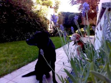 Al Giardino degli Artisti